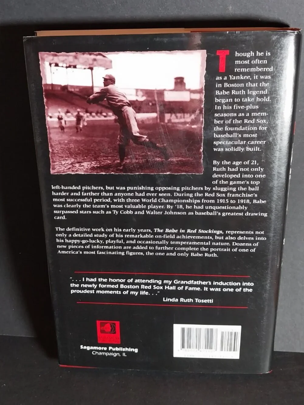 Babe in Red Stockings : an In-Depth Chronicle of Babe Ruth with the Boston Red
